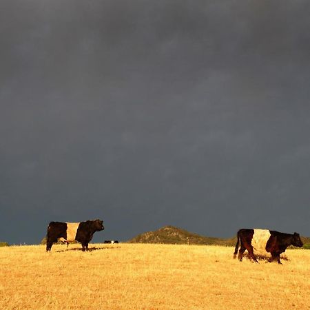 Peppertree Farm Mudgee Villa Dış mekan fotoğraf