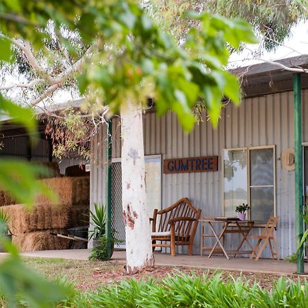 Peppertree Farm Mudgee Villa Dış mekan fotoğraf