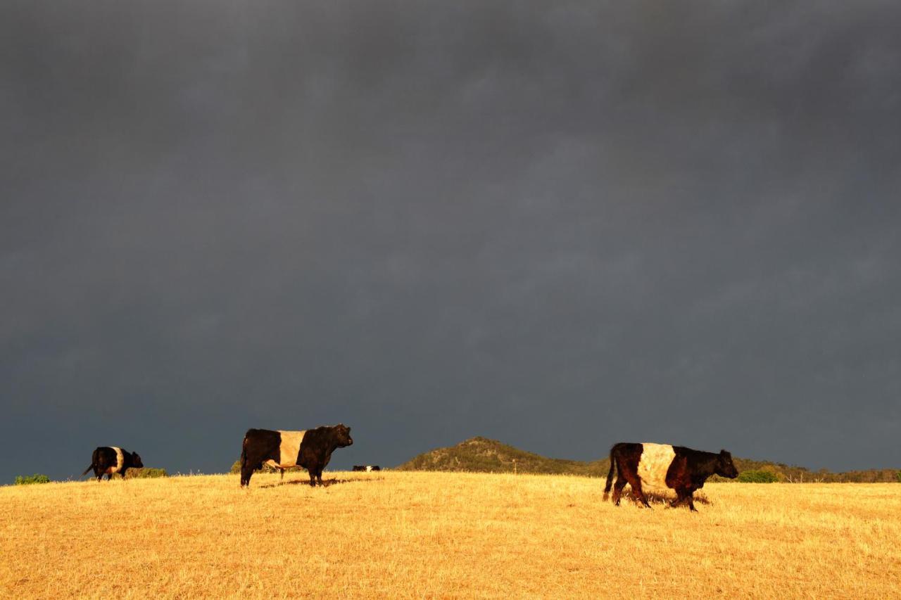 Peppertree Farm Mudgee Villa Dış mekan fotoğraf