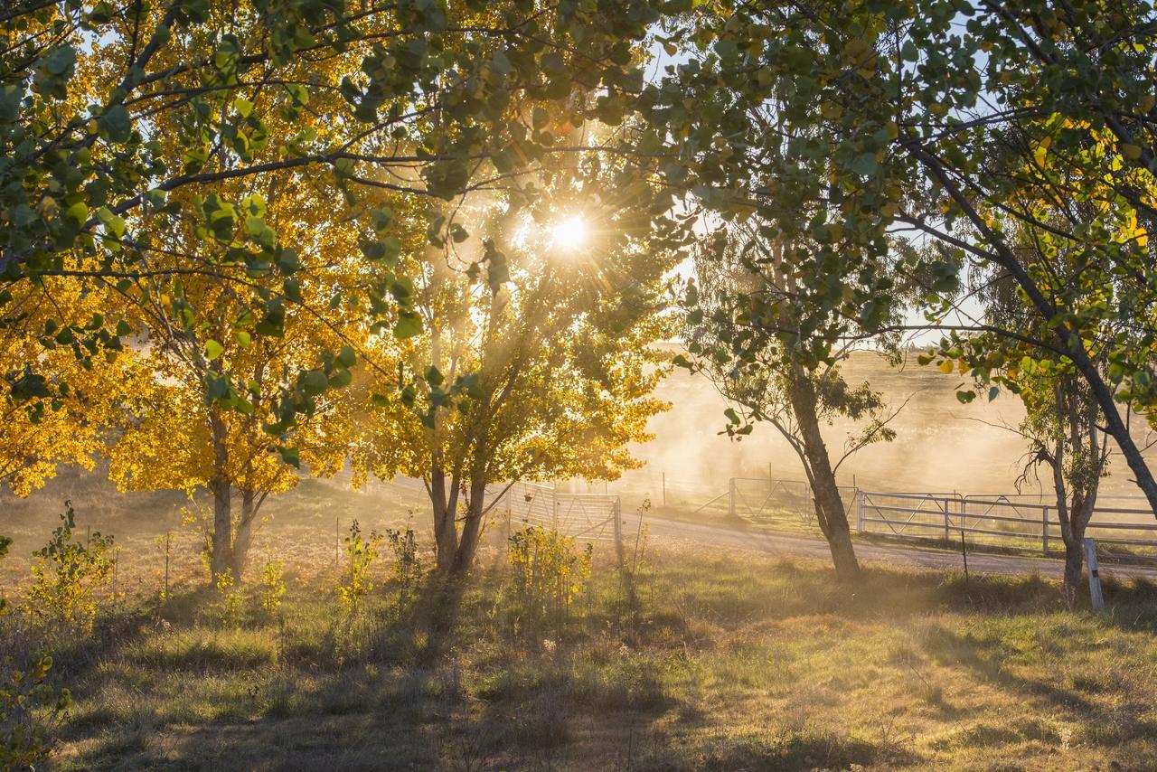 Peppertree Farm Mudgee Villa Dış mekan fotoğraf